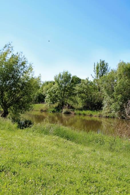 Le Clos De L'authion * Vivy